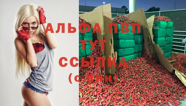 гидра Белоозёрский