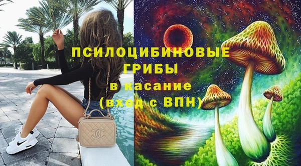 гидра Белоозёрский
