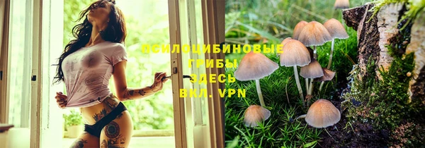 гидра Белоозёрский