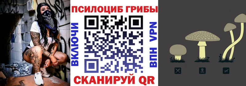 Купить где  Чекалин  Галлюциногенные грибы ЛСД 